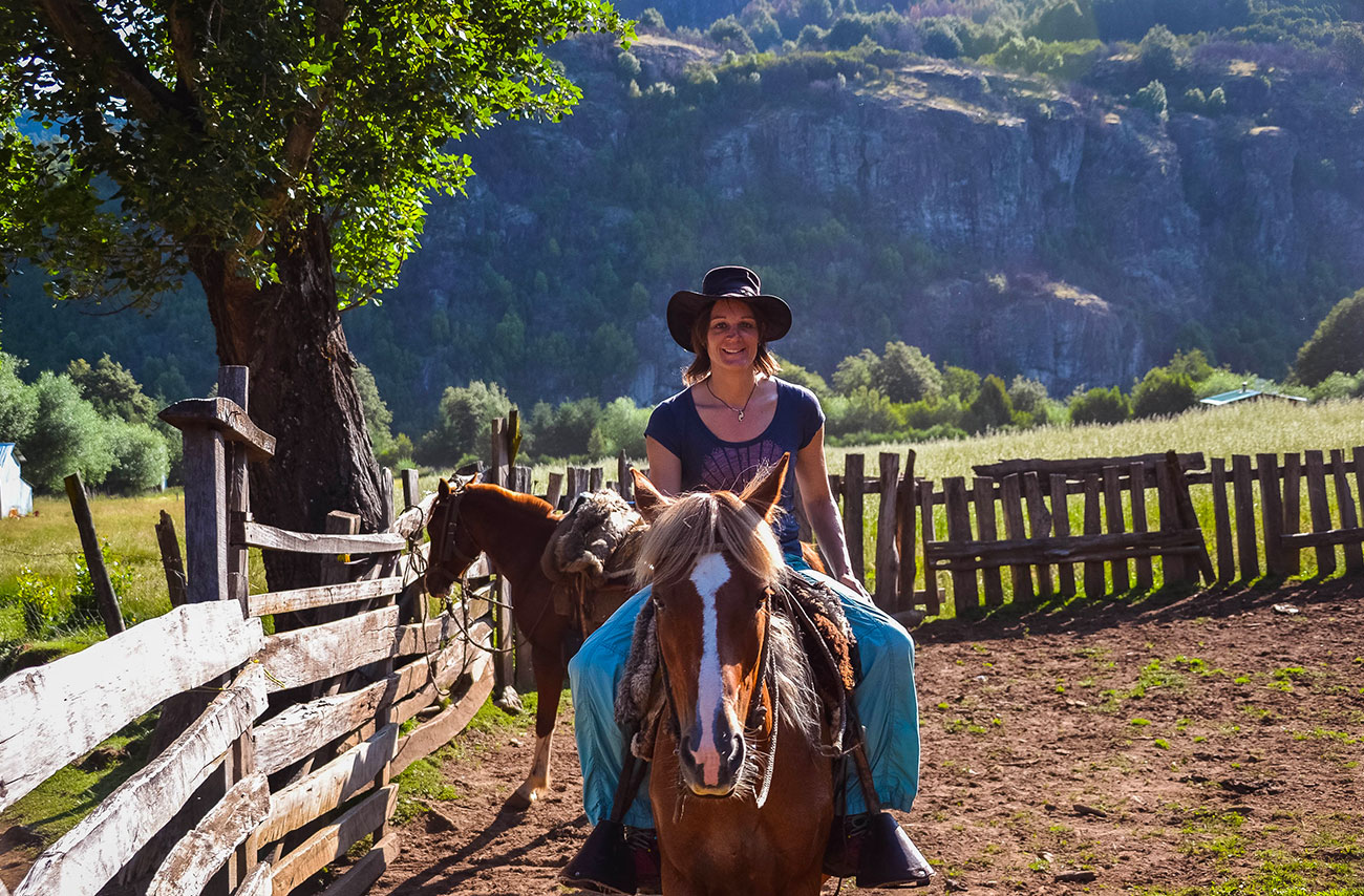 Travail du bétail – cattle work